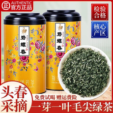 半春茗 【厦门馆】明前碧螺春绿茶正品2024新茶浓香型毛尖嫩芽茶叶