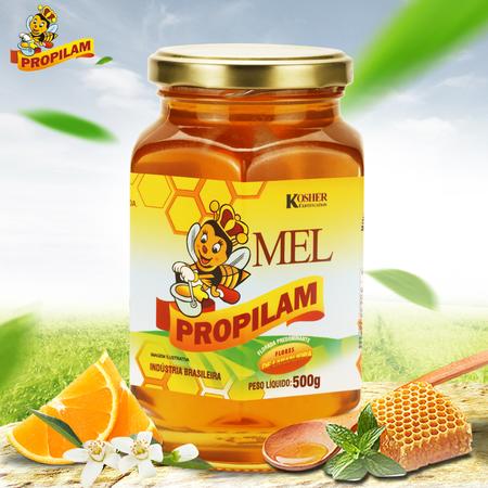 乐勃滋 巴西原装进口蜂蜜 天然维生素C橙花蜜500g 冲饮蜜玻璃瓶图片