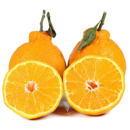 【坏果包赔】不知火丑橘 新鲜应季水果当季 高山桔丑八怪柑橘丑桔整箱