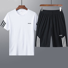 夏季运动套装男短袖短裤2件装休闲跑步篮球透气速干衣