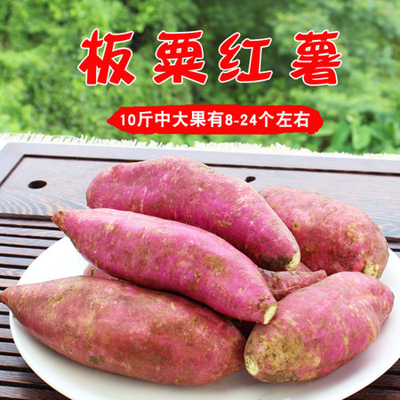 【左权馆】红薯9斤