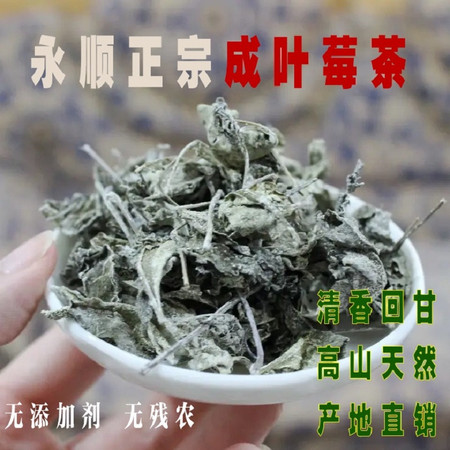 农家自产 湘西永顺莓茶250g老叶