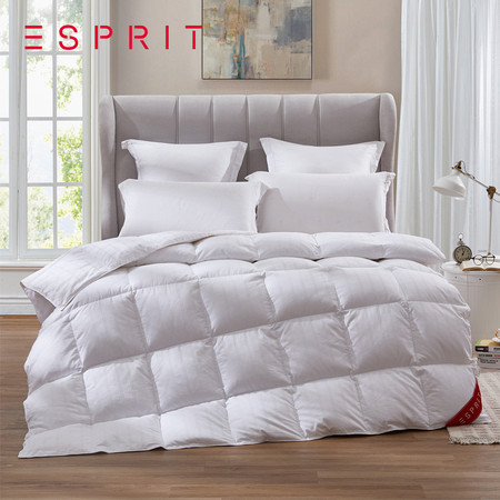 ESPRIT 蔻特恩珍品白鹅绒冬被图片