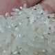 裕禾翎 YOUNG RUNNING 保真五常稻花香大米2.5kg   贡米产区 一年一季 古法种植