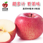 农家自产爱圣菓超多汁原产地优质洛川苹果90mm以上12枚新果特惠销售