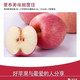 农家自产 爱圣菓超多汁原产地优质洛川苹果 85mm以上12枚新果巨惠销售