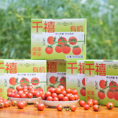 农家自产 中国最美乡村含山梅山村小番茄