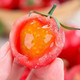 农家自产 安徽美丽乡村示范村梅山村小番茄