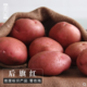【预售】【扶贫助农】我最喜爱的名优农产品“后旗红”土豆6斤（全国大部分地区包邮）