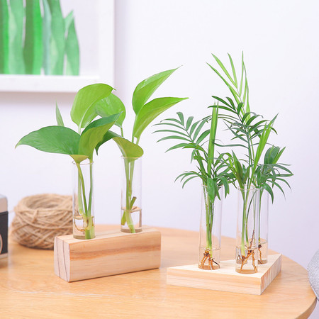 懒人园艺 水培植物创意木块试管容器现代摆件办公室内小清新装饰品桌面绿植