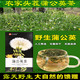 【萃涣堂】买一送一头茬蒲公英茶山东野生蒲公英根茶蒲公英根茶叶60克/盒