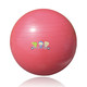 费雪 儿童健身球 幼儿园训练球65cm（瑜伽球 加厚款送打气筒）F0809 粉红色