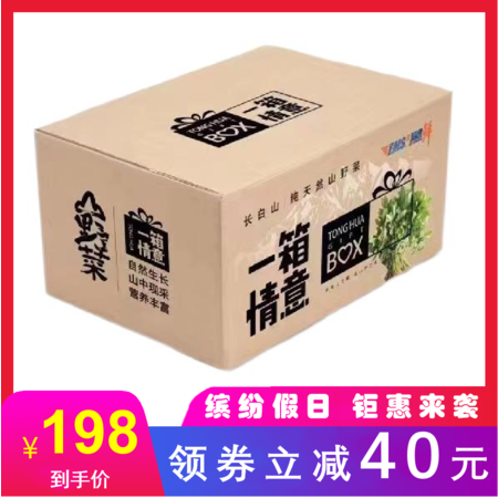 【预售】【吉林通化】东北特产山野菜 6斤/箱 新鲜 2斤刺嫩芽 4斤大叶芹 原产地直发图片