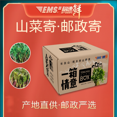 农家自产 山野菜 刺嫩芽1kg+大叶芹1kg （直播链接）