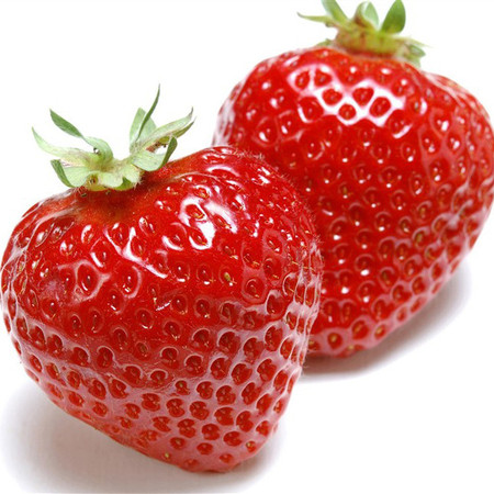【限售】【永嘉自提】楠溪江 新鲜水果 草莓 一提1kg 礼盒装 南达家品