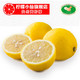 柠檬小仙 安岳新鲜黄柠檬一级果8枚 酵素榨汁水果现发包邮