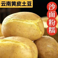 农家自产 云南新平黄皮土豆