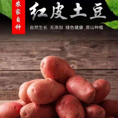 农家自产 云南新平红皮土豆
