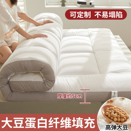 暖西施 床垫软垫家用褥子垫被床褥