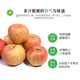 苹果（75-80、20斤装）