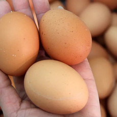 农家自产 农家自产土鸡蛋20枚
