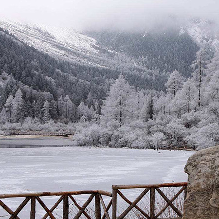 四川毕棚沟温泉+滑雪+熊猫乐园图片