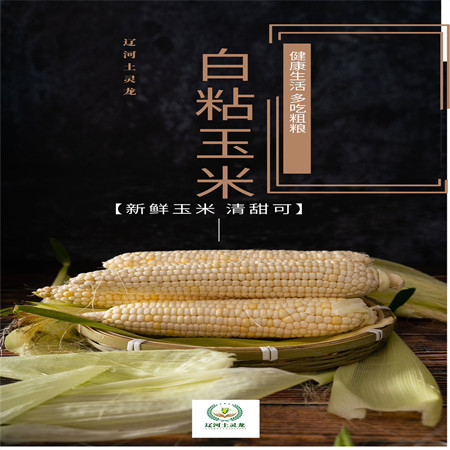 辽河土灵龙 鲜食粘玉米（230g/穗*10）图片