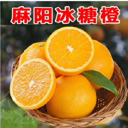 麻阳冰糖橙新品种图片