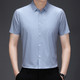 莱诗伯特 夏季新款条纹翻领男士衬衣商务休闲时尚薄款透气衬衫