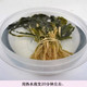 谭小黑 干板菜（干白菜）