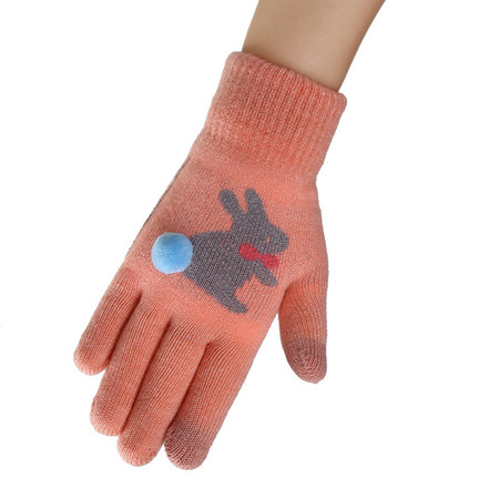 018-1新款手套女冬季保暖触屏女士冬季手套图片