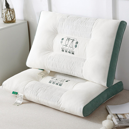 中科港 全棉决明子保健枕成人家用纯棉荞麦枕头护颈枕羽丝绒枕芯图片