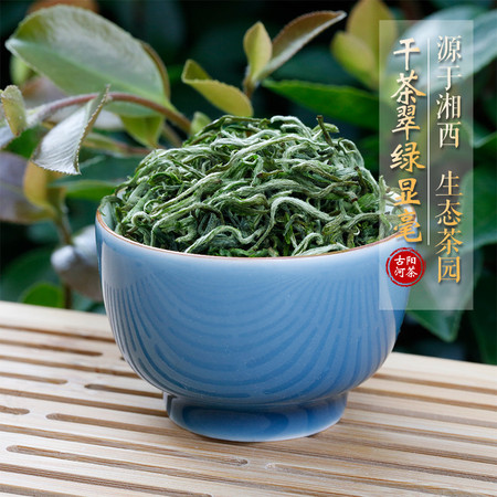 古阳河 【湘西】金色黄金茶【2024明前茶】50g*1罐图片