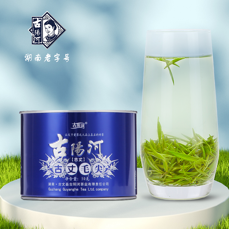 古阳河 八彩古丈毛尖 【2024明前茶】50g*1罐