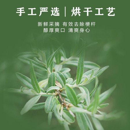 遥远地方 【青海 格尔木馆 】沙棘芽茶50g