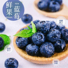 农家自产 【鲁山】〝浆果之王〞“水果中的爱马仕”＠以甜为名 优质蓝莓