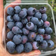 农家自产 【鲁山】〝浆果之王〞 优质蓝莓（中小果）