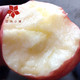 【四月小铺 电商助农】太行山苹果 5斤精选 新鲜苹果现摘现发 来自红旗渠故乡的礼物