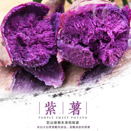 山东沂蒙山紫薯5斤大果新鲜紫薯 包邮香甜粉糯辅食