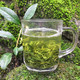 茶叶【买一斤送半斤】信阳毛尖2021新茶浓香型高山绿茶茶叶多规格