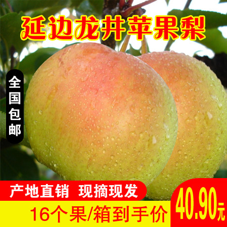 农家自产 【龙井邮政】吉林龙井苹果梨  16个果