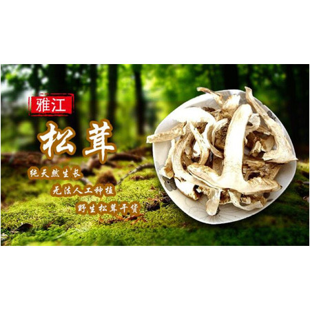 四川甘孜馆 邮政助农 精准扶贫 雅江县 松茸干片250g