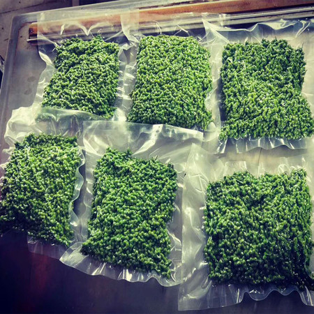 诚慧 广安青花椒新鲜花椒400G 保鲜青花椒密封袋装图片