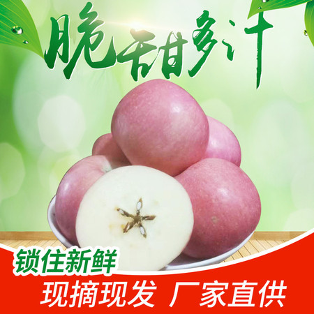 农家自产 【咸阳邮政】红富士苹果 当季新果 产地直发 果径75-80m图片