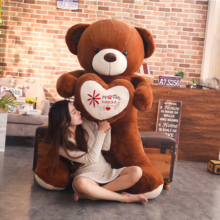 公仔表白熊熊猫布娃娃女孩生日礼物可爱睡觉抱大熊毛绒玩具送女友（高度60cm）图片