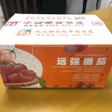 通吃天下 【江苏南通启东】启东邮政 远强番茄5斤装