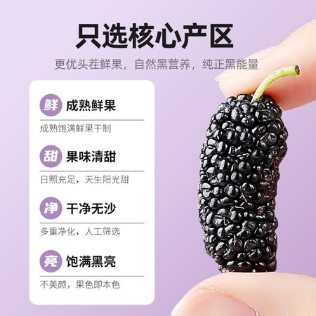 桑间优品 桑葚干150g/罐