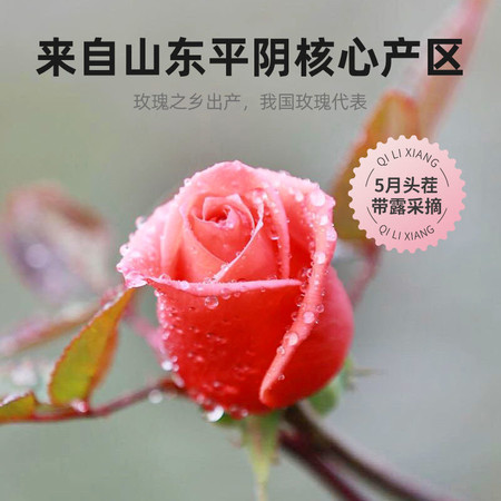 桑间优品 玫瑰花茶50g/罐