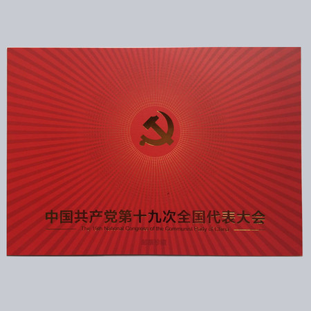 《中国共-产-党第十九次全国代表大会》PZ折