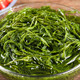 农家自产 5斤新鲜马尾藻海藻菜海草